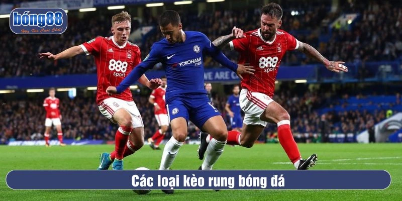 Các loại kèo rung bóng đá