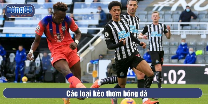 Các loại kèo thơm bóng đá