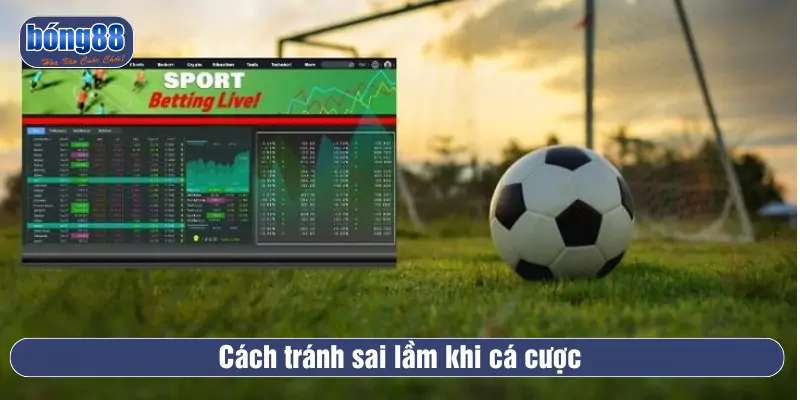 Cách tránh sai lầm cá độ hiệu quả nhất