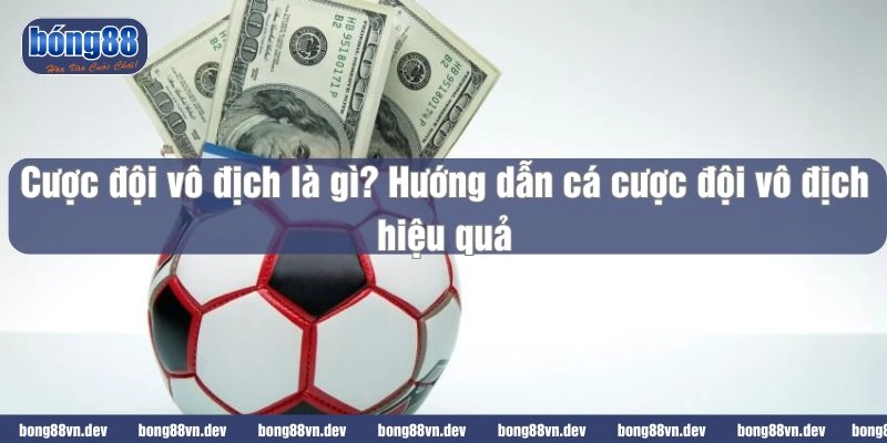 Cược đội vô địch