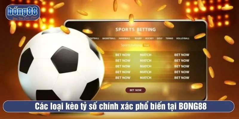 BONG88 cung cấp nhiều lựa chọn hấp dẫn giúp người chơi gia tăng cơ hội chiến thắng
