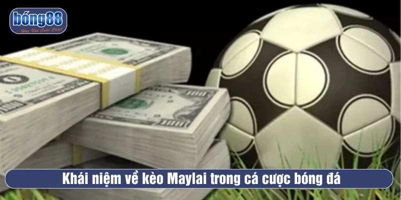 Khái niệm về kèo Maylai trong cá cược thể thao