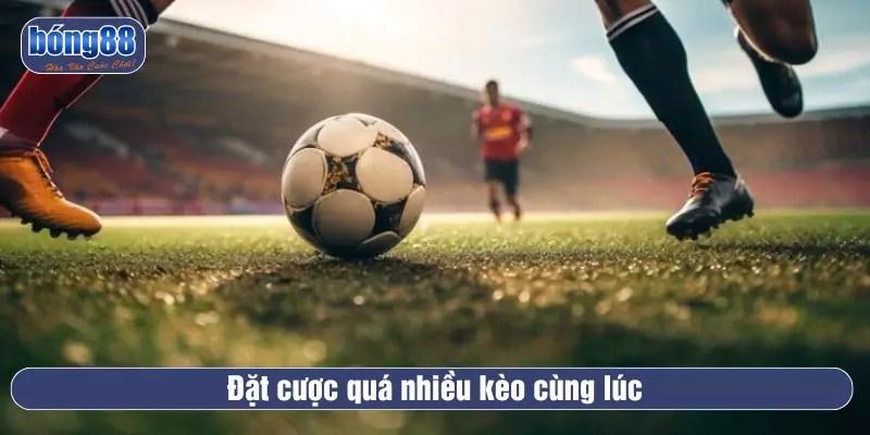 Những sai lầm khi cá cược