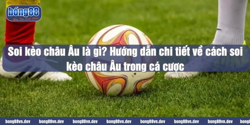 Soi kèo châu Âu