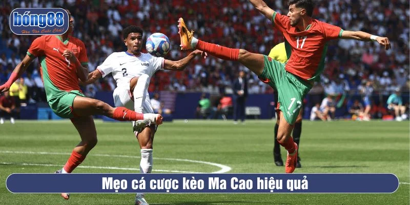 Tham khảo các mẹo đặt cược kèo Ma Cao hiệu quả